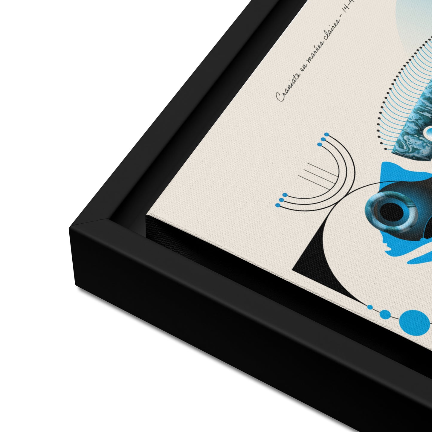 ArtBox - Craniate en marrées claires