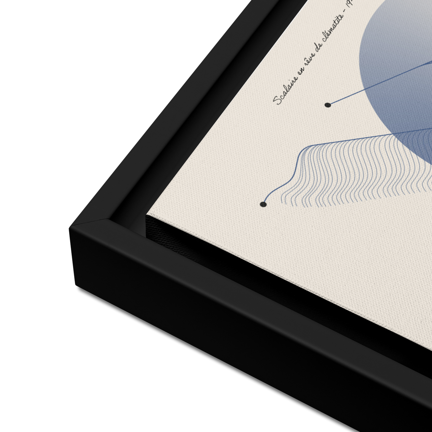 ArtBox - Scalaire en rêve de Clématite