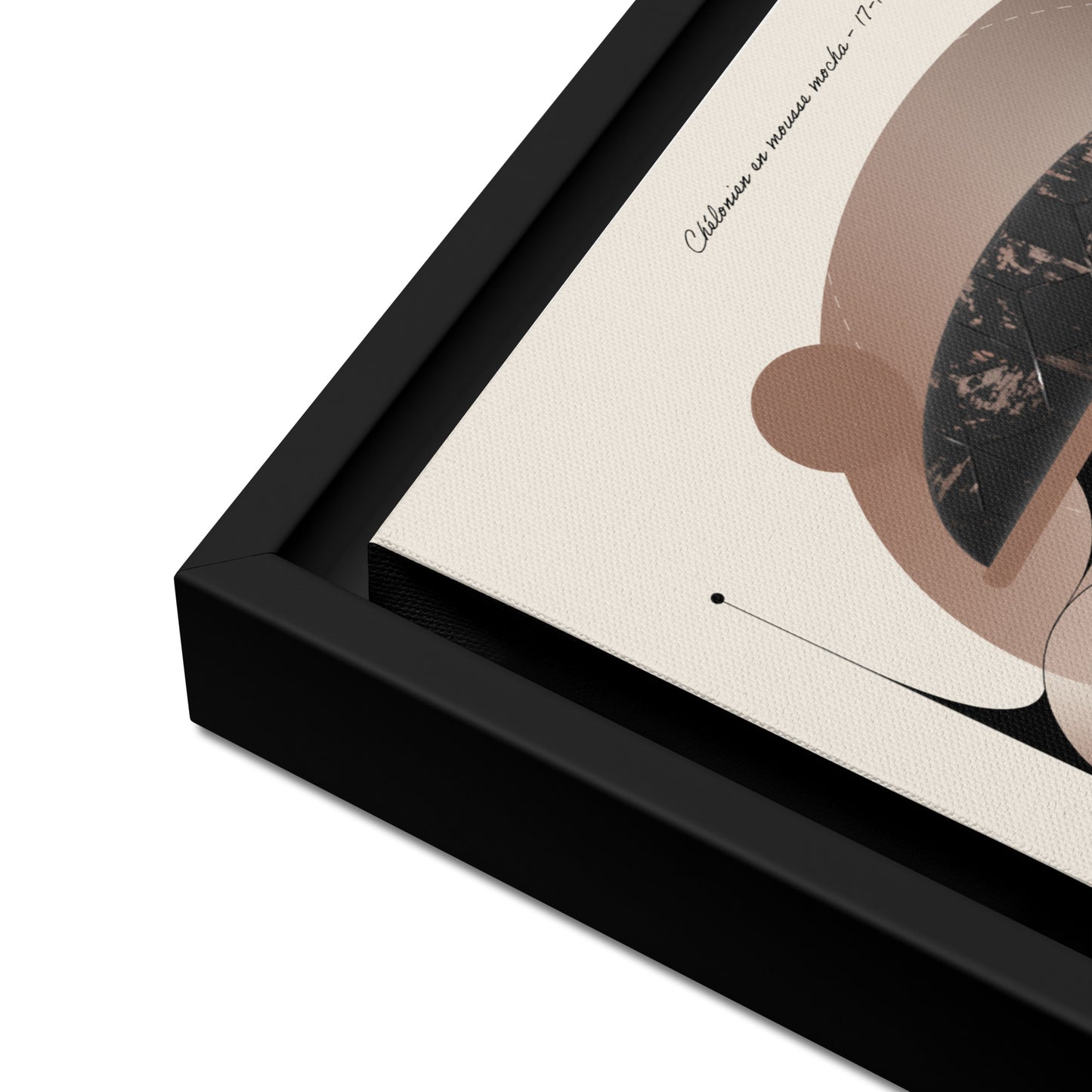 ArtBox - Chélonien en Mousse mocha