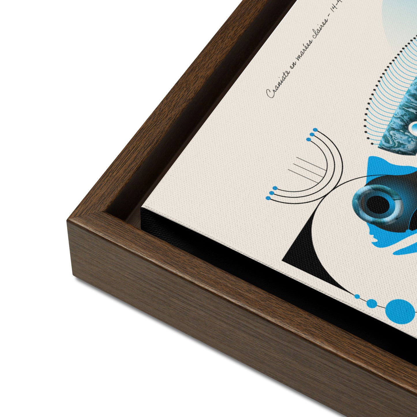 ArtBox - Craniate en marrées claires