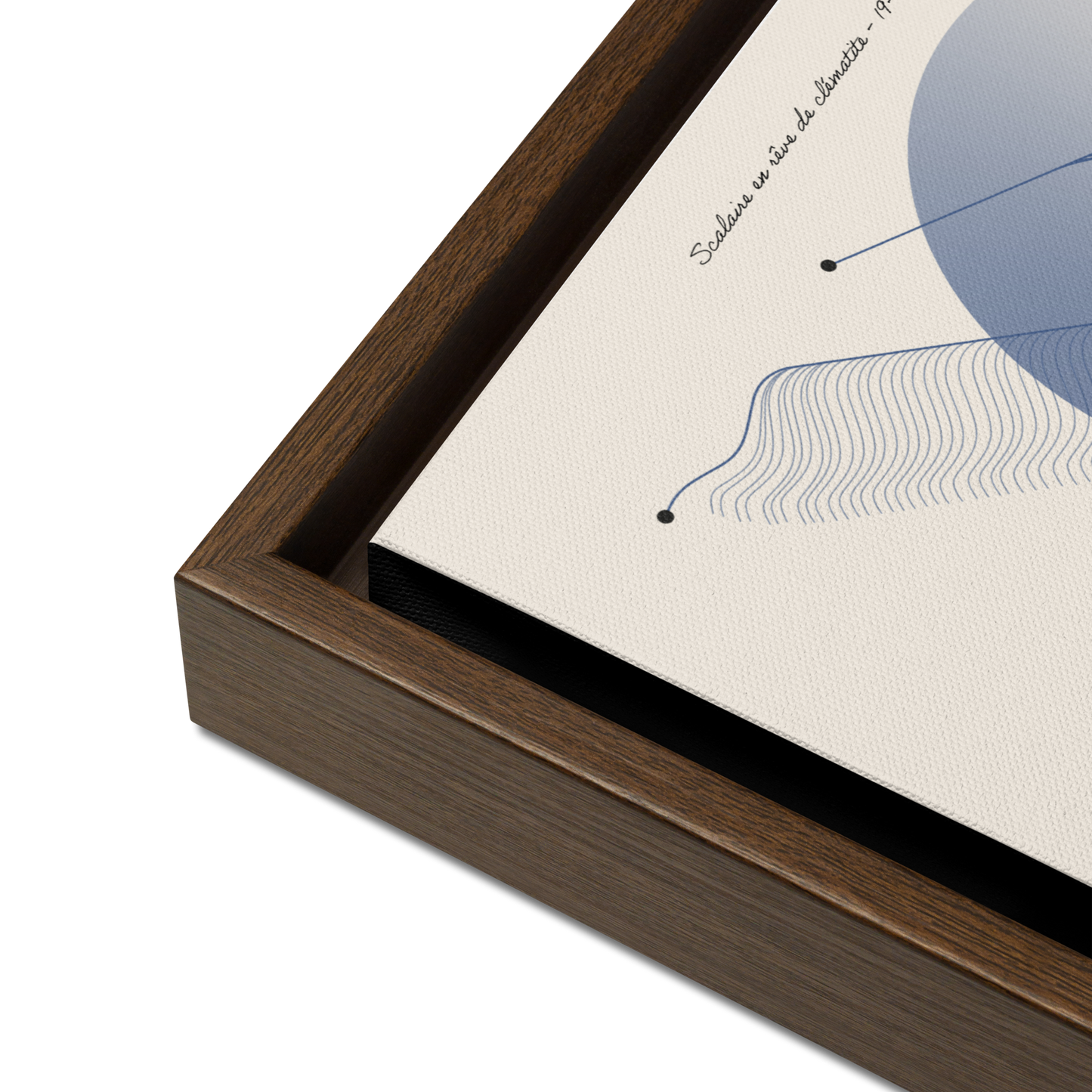 ArtBox - Scalaire en rêve de Clématite