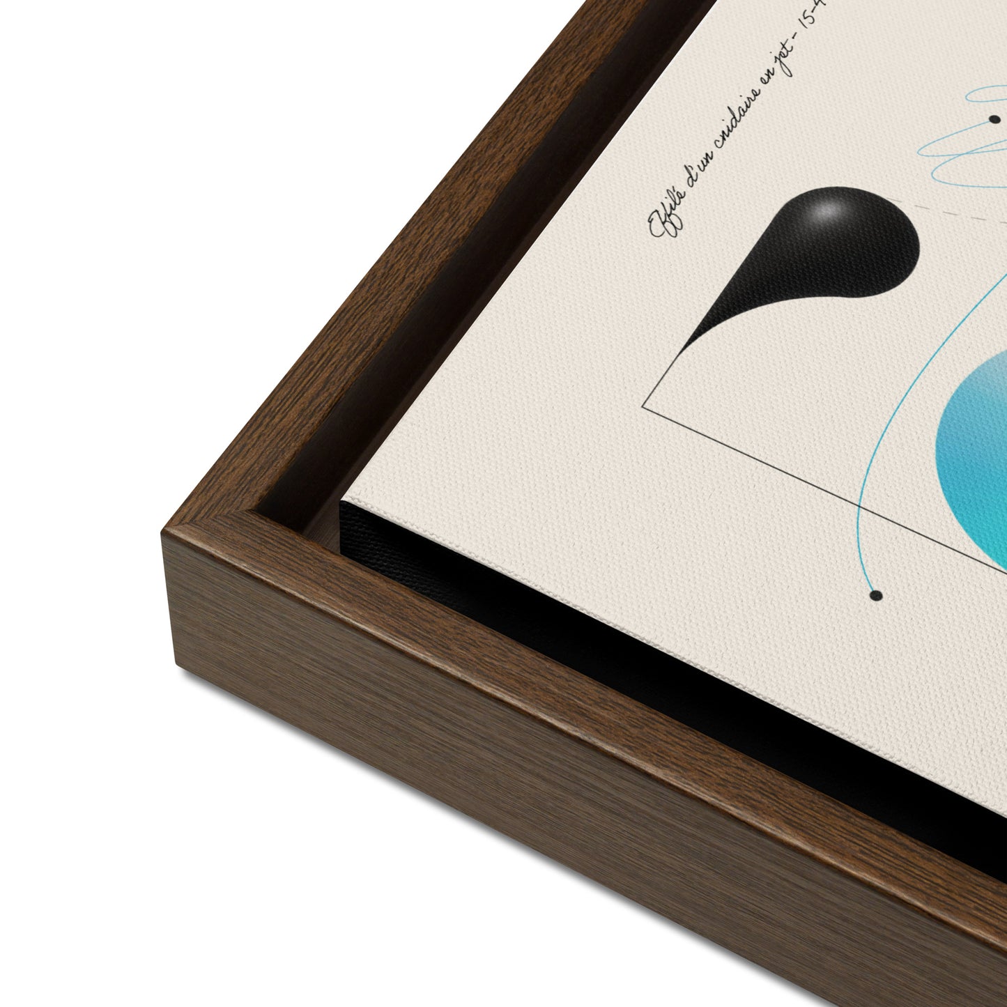 ArtBox - Effilé d'un cnidaire en Jet