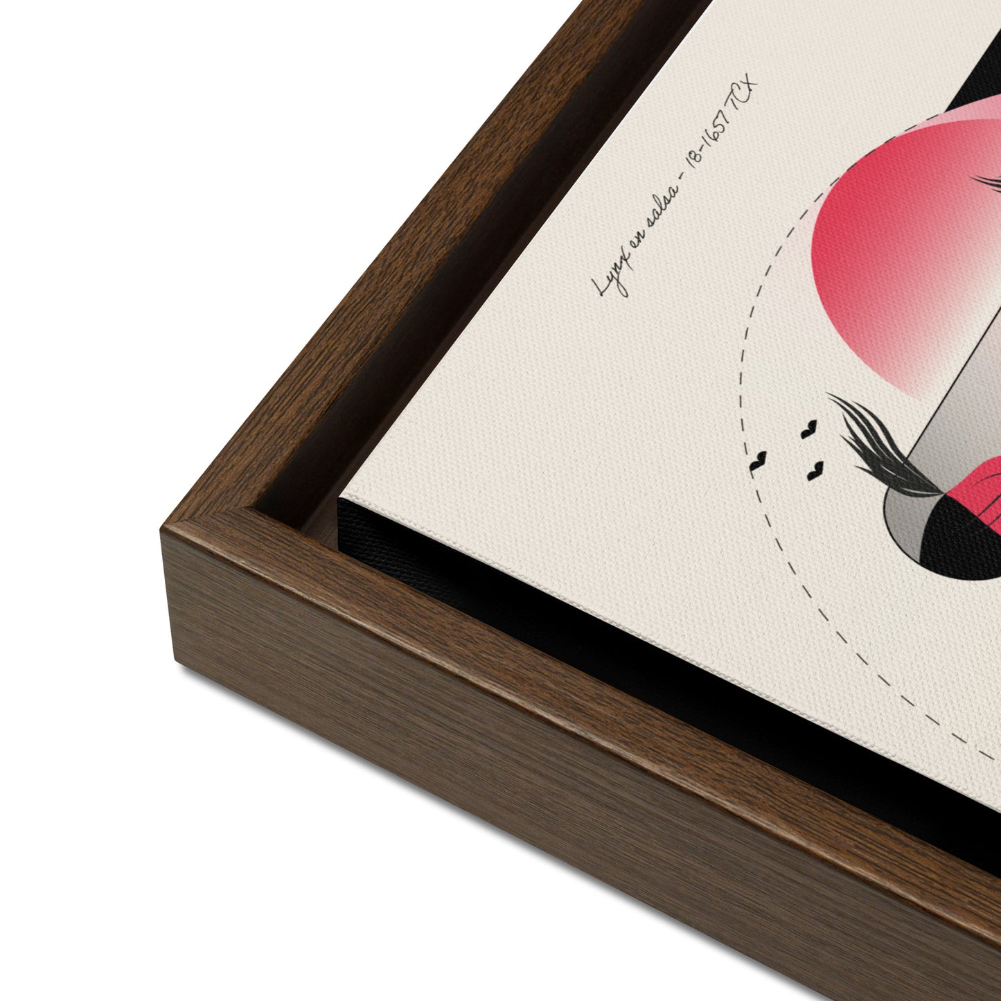 ArtBox - Lynx en Salsa