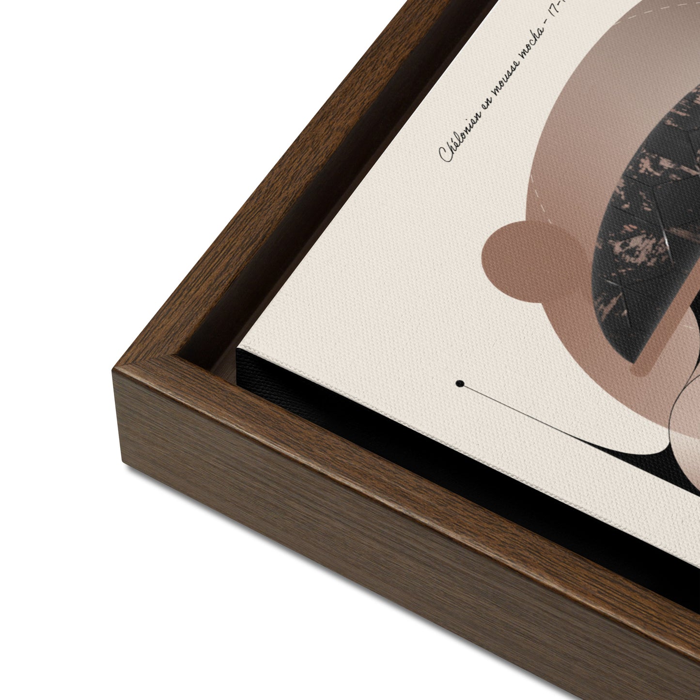 ArtBox - Chélonien en Mousse mocha