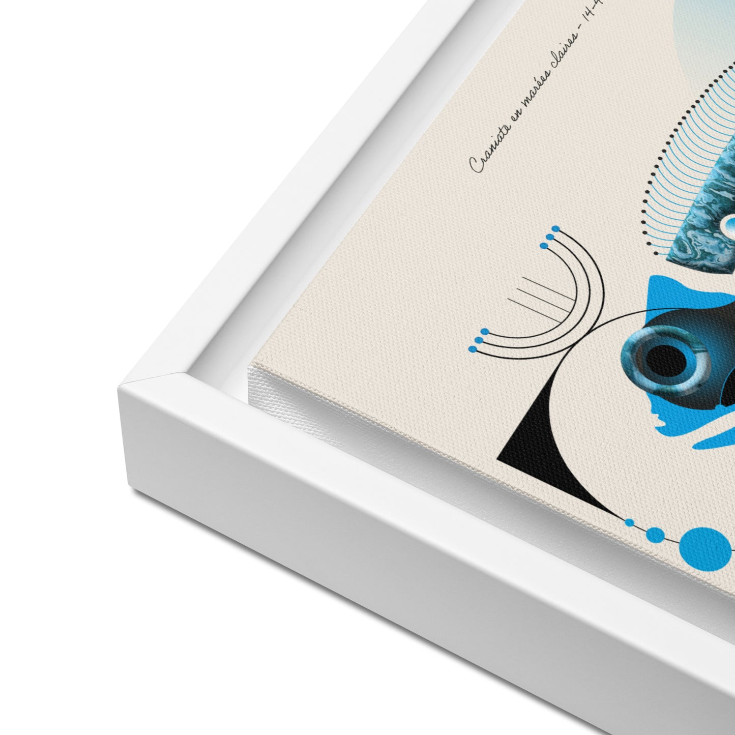 ArtBox - Craniate en marrées claires