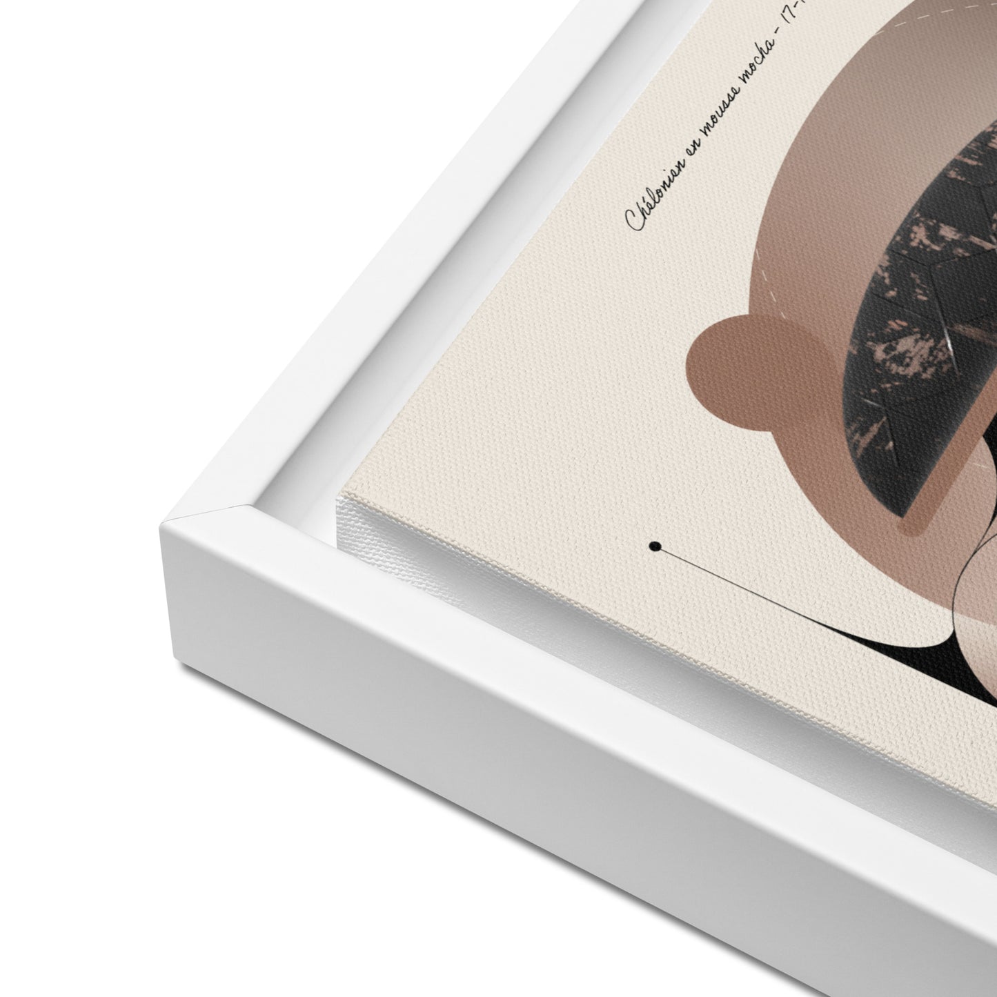 ArtBox - Chélonien en Mousse mocha